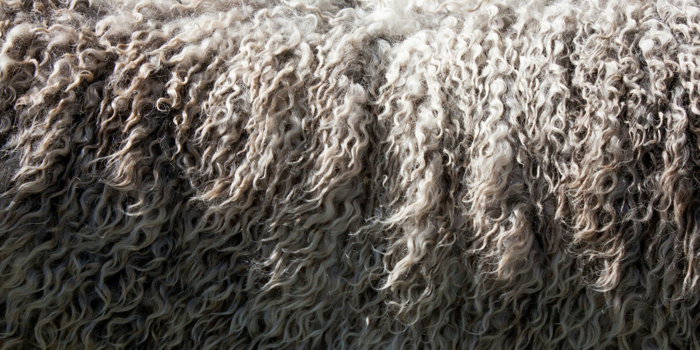 All about cashmere