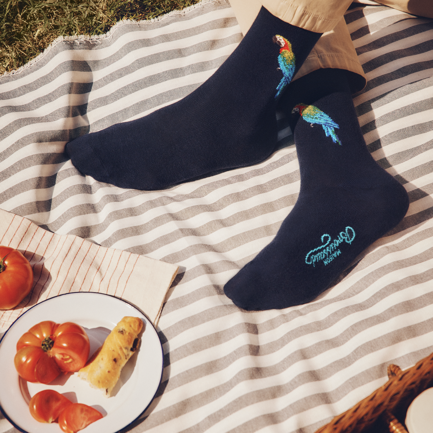 Le perroquet- Men's Socks - Navy Cotton