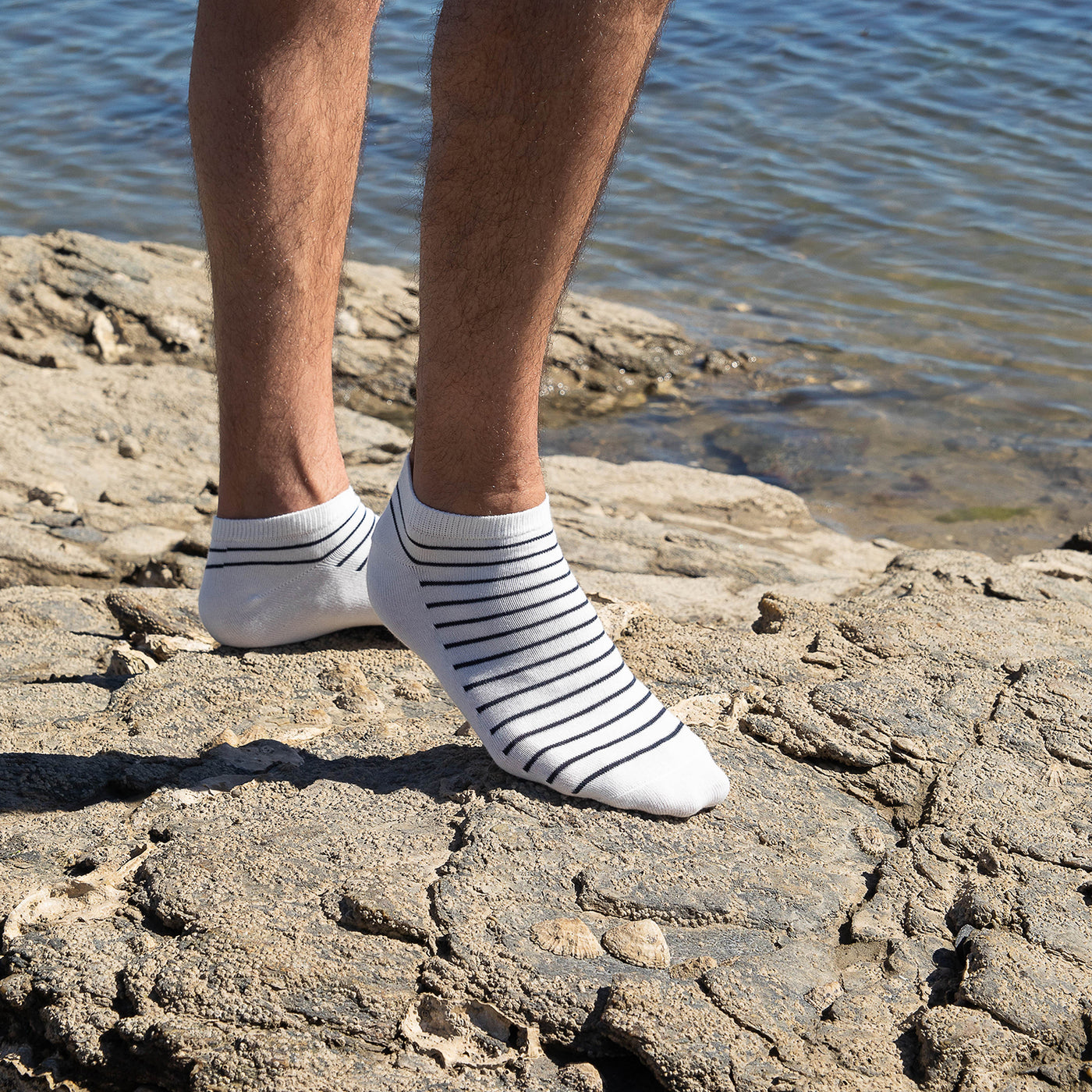 Les rayées blanchi-marine