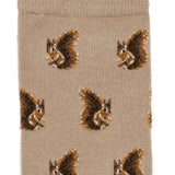 Squirrels - men's socks - ecru cotton