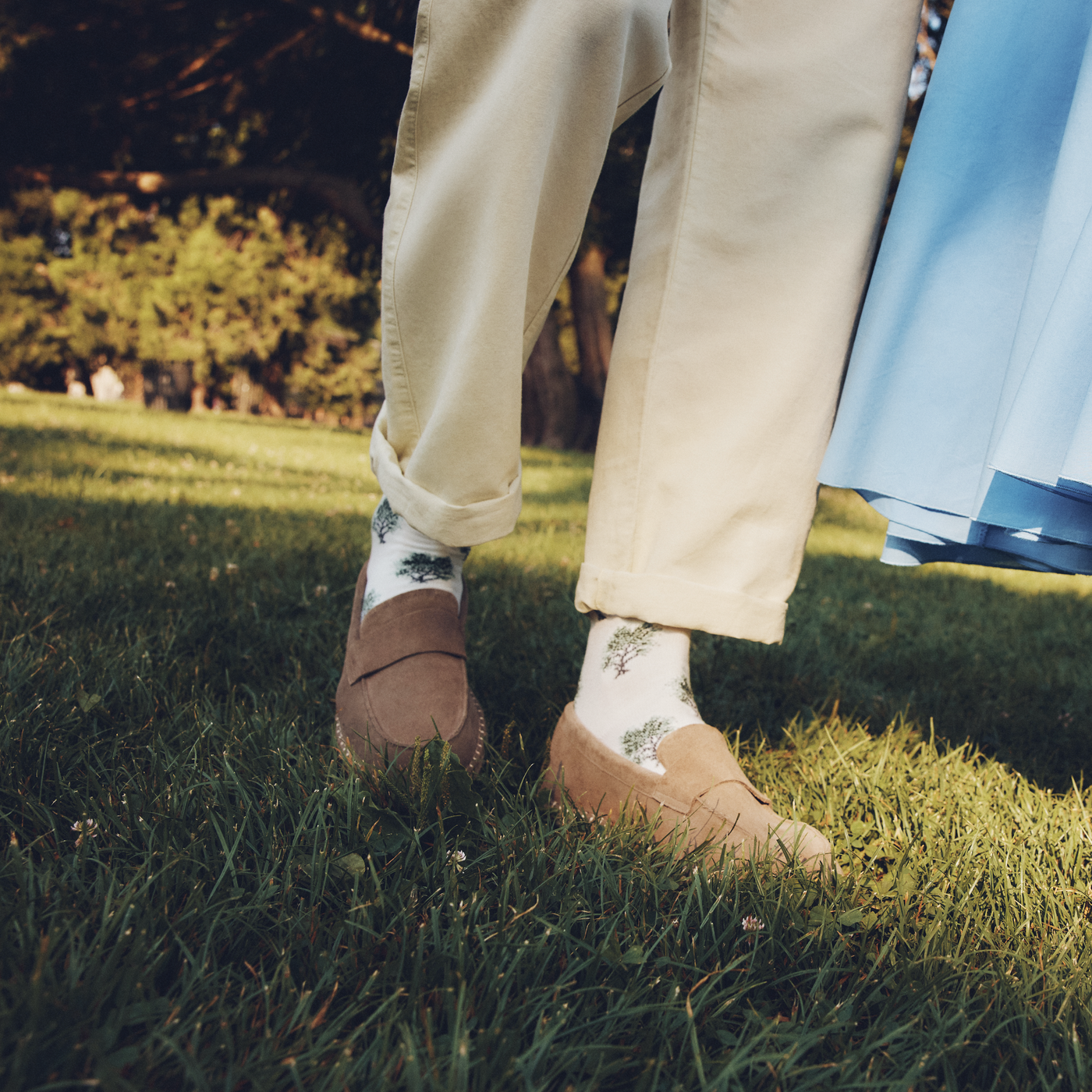 Les oliviers - chaussettes homme - coton blanc