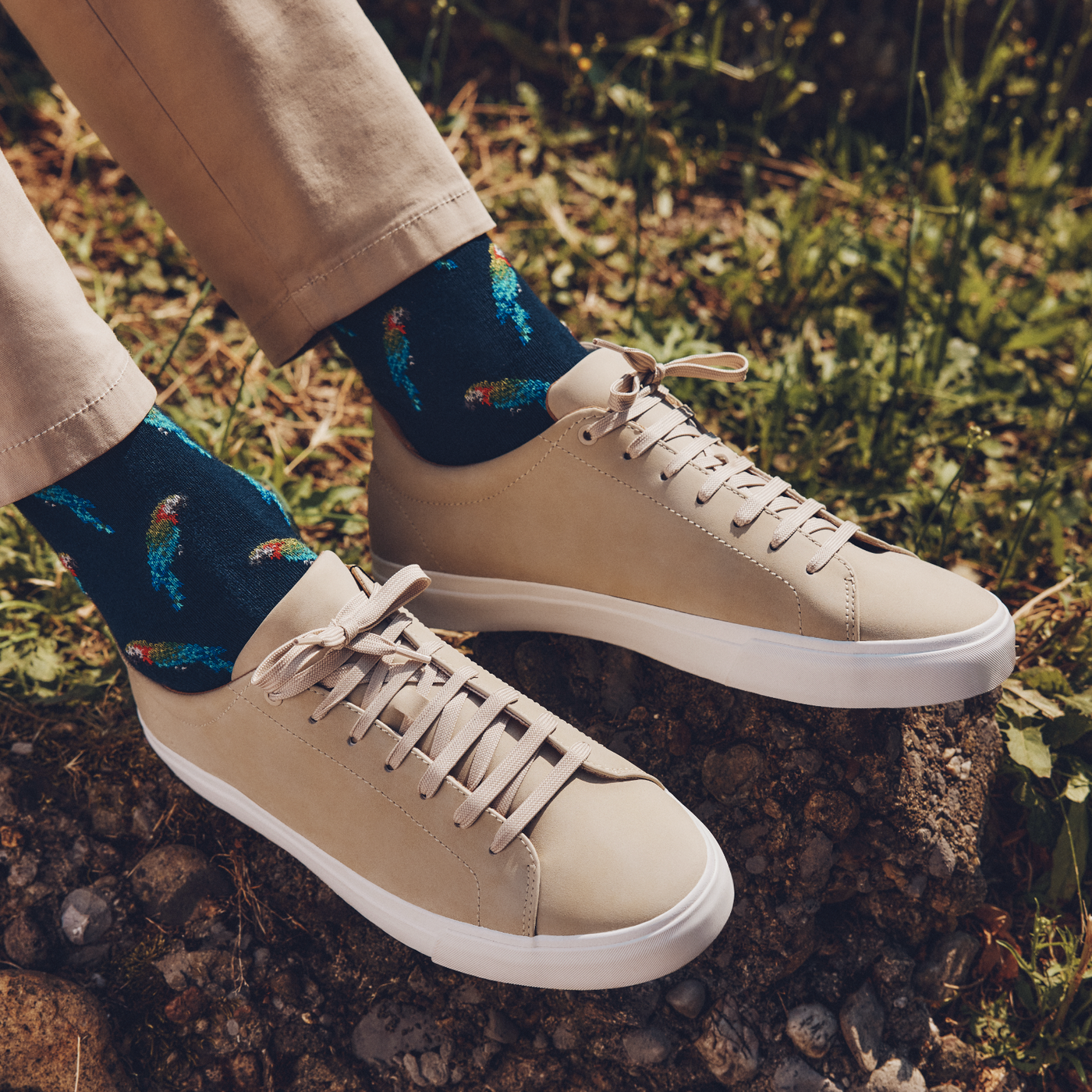 Les perroquets - chaussettes homme - coton marine