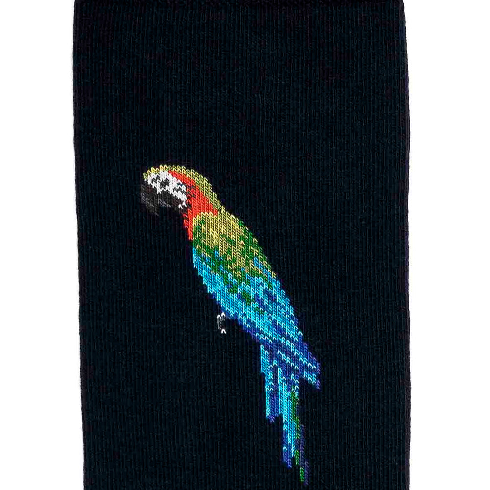Détail motif perroquet multicolore sur chaussette homme mi-haute bleu marine.