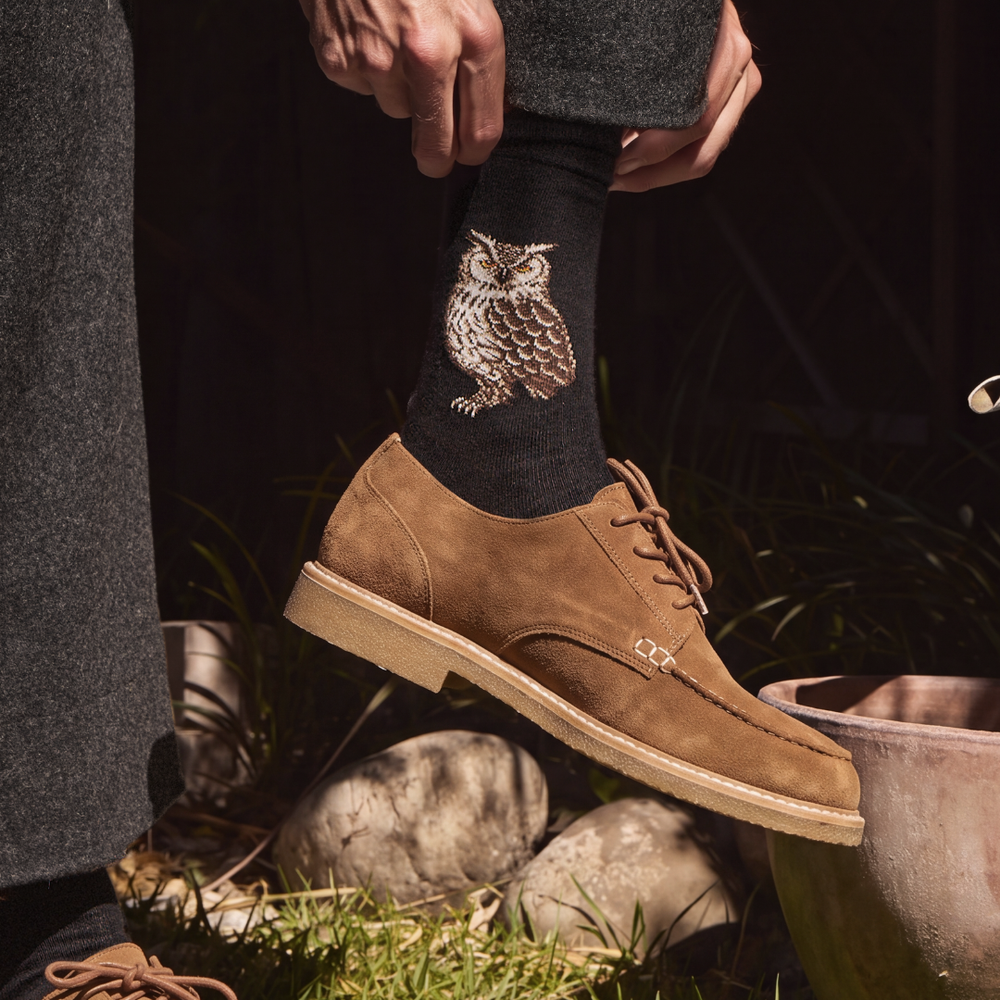 Le hibou - chaussettes homme - coton noir